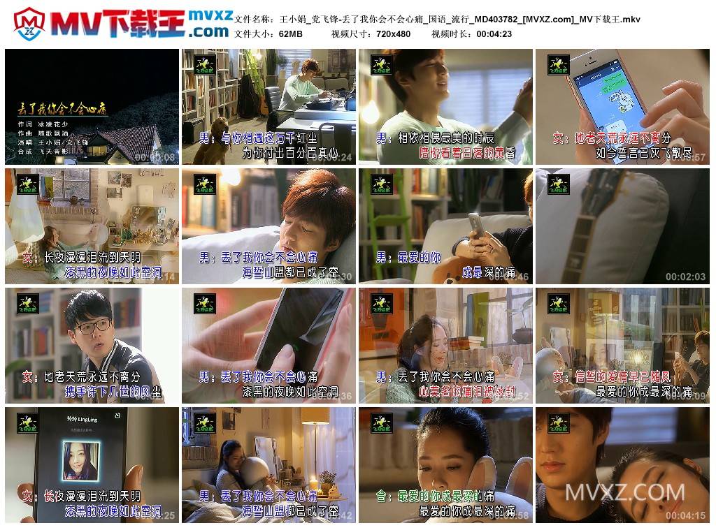 王小娟_党飞锋-丢了我你会不会心痛_国语_流行_MD403782